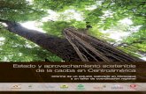 Estado y aprovechamiento sostenible de la caoba en ... · de Nicaragua (el cuarto productor de caoba) y Fauna & Flora International desarrollaron un proyecto para fomentar el manejo