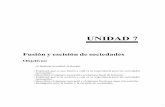 UNIDAD 7 - gc.initelabs.comgc.initelabs.com/recursos/files/r157r/w12872w/Der Merca_Unidad7.pdf · 7.1.1. Concepto Como primer punto de la presente unidad, estudiaremo s el fenómeno