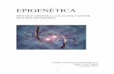 EPIGENÈTICA · - 3 - PRESENTACIÓ L’objectiu d’aquests treball de recerca és introduir el tema de l’epigenètica, descriure els mecanismes epigenètics i investigar sobre