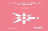 La educación multigrado en Méxicon... · 6.9 Medio de transporte de los alumnos transferidos para llegar a su nueva escuela 6.10 Extraedad por nivel y modalidad Capítulo 8 8.1