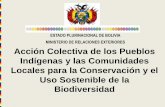 ESTADO PLURINACIONAL DE BOLIVIA MINISTERIO DE … · Acción Colectiva de los Pueblos Indígenas y las Comunidades Locales para la Conservación y el Uso Sostenible de la Biodiversidad
