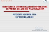 PATOLOGÍA DERIVADA DE LA EXPOSICIÓN A SÍLICEconfevicex.com/wp-content/uploads/2019/01/PATOLOGIA-X-SILICE-1.pdf · Neumoconiosis y silicosis Se trata de enfermedades respiratorias