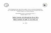 MICOSIS SUPERFICIALES MICOSIS SUBCUTANEASold.fmed.uba.ar/depto/microbiologia/catedra2/Seminario_N_10.pdf · MICOSIS SUPERFICIALES MICOSIS SUBCUTANEAS Año 2018. Micosis Superficiales