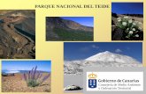 PARQUE NACIONAL DEL TEIDE - Tenerife...La normativa que compete directamente al Parque Nacional del Teide es, por orden cronológico, la que se relaciona a continuación: − Decreto