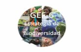 Estrategia de Biodiversidadesenciales, incluidos servicios relacionados con el agua, y que contribuyen a la salud, los medios de vida y el bienestar, tomando en cuenta las necesidades