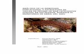 ANÁLISIS DE LA DENSIDAD POBLACIONAL Y ESTRUCTURA …3.1 Objetivo específico Ø Determinar y analizar la densidad poblacional y estructura de tallas del pepino de mar Stichopus fuscus()