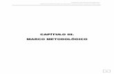 CAPÍTULO III. MARCO METODOLÓGICOtesis.uson.mx/digital/tesis/docs/21544/Capitulo3.pdf · (Hernández Sampieri, Roberto; Fernández Collado, y Carlos Baptista Lucio, 2006) ... de