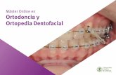Máster Online en Ortodoncia y Ortopedia Dentofacial...Estructura y contenido 05 La estructura de los contenidos ha sido diseñada por un equipo de profesionales de los mejores centros