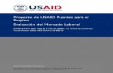 Proyecto de USAID Puentes para el Empleo Evaluación del … · 2017-07-15 · Proyecto de USAID Puentes para el Empleo Evaluación del Mercado Laboral CONTRATO NO. AID-519-TO-15-00001,