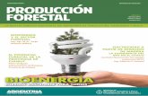 producciOn Forestal - Argentina.gob.arforestoindustria.magyp.gob.ar/archivos/revista-produccion-forestal/05.pdf · duos de la foresto industria, para la generación de den-droenergía
