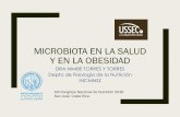 MICROBIOTA EN LA SALUD Y EN LA OBESIDAD - ACDYNacdyn.cr/wp-content/uploads/2019/02/microbiota-en-la-salud-y-en-la-obesidad.pdf · imc>30 glucosa >100 mg/dl hipertension 130/85