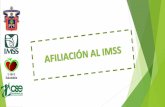 AFILIACIÓN AL IMSS.prepaelgrullo.sems.udg.mx/sites/default/files/adjuntos/afiliacion.pdf · Se refiere a la afiliación de estudiantes, así como familiares de personal del IMSS