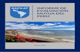 INFORME DE · 4 Informe de Evaluación Mutua del Perú SIGLAS Y ABREVIATURAS APNFD Actividades y Profesiones No Financieras Designadas APCI Agencia Peruana de CooperaciónInternacional