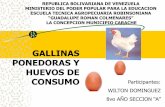 GALLINAS PONEDORAS Y HUEVOS DE CONSUMOitscv.edu.ec/wp-content/.../10/GALLINAS-PONEDORAS-Y...Comercialización de Gallinas Ponedoras Durante los últimos 30 años el sector avícola