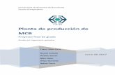 Planta de producción de MCB · Capítulo 1. Especificaciones del proyecto Planta de producción de MCB MCB Industries 5 1.1.3. Localización de la planta El proyecto se llevará