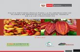 PAUTA METODOLÓGICA PARA LA ELABORACIÓN …...Pauta metodológica para la elaboración de Planes de Negocio de cacao en el marco de la Ley PROCOMPITE Ministerio de Economía y Finanzas