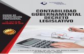CONTABILIDAD CURSO DE GUBERNAMENTAL DECRETO · información actualizada vinculada a la gestión contable con el ﬁn de tomar ... contabilidad, pública, las tareas y actividades
