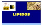 LIPIDOSs076f68c3bf6790f7.jimcontent.com/download/version...Pueden ser saturados, insaturados y con menor frecuencia cíclicos. Excepcionalmente, los AG (ácidos grasos) naturales contienen
