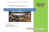 MAESTRÍA Y DOCTORADO EN CIENCIAS …web.uaemex.mx/fquimica/docs/seminarios/B/4.pdfempleando Myriophyllum aquaticum para la remoción de endosulfán en agua. Rosales Landeros Claudia
