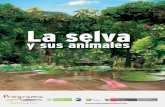 La Selva y sus Animales - d2ouvy59p0dg6k.cloudfront.netd2ouvy59p0dg6k.cloudfront.net/downloads/la_selva_y_sus_animales.pdf[PÁGINA 4] 1,70 m TAMAÑO 90 cm de largo ALIMENTACIÓN UBICACIÓN