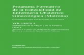 de la Especialidad de Enfermería Obstétrico Ginecológica ...comatronas.es/contenidos/2017/11/Programa_formativo_matrona_V08.pdf · Anexo II. Programa de Formación en Protección