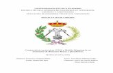 UNIVERSIDAD POLITÉCNICA DE MADRID ESCUELA TÉCNICA …oa.upm.es/33590/1/TFG_FRANCISCO_JOAQUIN_MATEO.pdf · El proyecto trata de realizar una comparativa de dos metodologías mediante