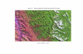 Anexo 01. Mapa satelital del Parque Nacional del Río Abiseo. · 2012-01-25 · Planta medicinal en el PNRA “Jergón sacha” Paisaje Sector Churo Centro funerario “ Los Pinchudos”