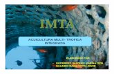 ACUICULTURA MULTI-TROFICA INTEGRADAsgpwe.izt.uam.mx/files/users/uami/ifig/3_IMTA_Anaid... · 2015-03-28 · acuicultura multi-trofica integracion crianza de especies acuaticas ( vegetales