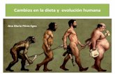 Ana María Pérez Egea · Homo Ardipithecus ramidus Australopithecus En general, esta transformación de la dieta dio lugar a un exceso de disponibilidad de calorías y el sedentarismo.