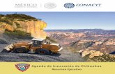 Agenda de Innovación de Chihuahua - CamBioTeccambiotec.org.mx/.../uploads/2017/09/Agenda-Chihuahua.pdfAGENDA ESTATAL DE INNOVACIÓN ESTADO DE CHIHUAHUA PB 1 El Índice Mundial de