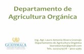 Departamento de Agricultura Orgánica –DAO-ciaorganico.net/documypublic/647_274_4._MAGA_lauro_(2).pdfDatos del crecimiento de la Agricultura Orgánica en Guatemala o En Guatemala