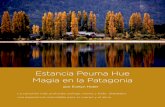 Estancia Peuma Hue Magia en la Patagoniaargentinambiental.com/wp-content/uploads/pdf/AA50-84...TURISMO SUSTENTABLE Estancia Peuma Hue es un Eco-resort y Lodge de Montaña muy especial