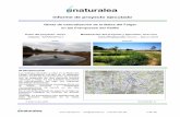 Informe de proyecto ejecutado - naturalea.eu · Informe Final ꞏ Obras de naturalización de la Balsa del Falgar en las Franqueses del Vallès 5 de 15 Plantación de vegetación
