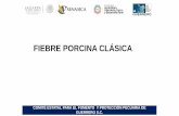 FIEBRE PORCINA CLÁSICA - osiap.org.mx PORCINA CLASICA1.pdf · FIEBRE PORCINA CLÁSICA Enfermedad viral de rápido contagio en los cerdos, caracterizada en su forma aguda por fiebre,