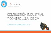COMBUSTIÓN INDUSTRIAL Y CONTROL, S.A. DE C.V.cicsa-maxon.com.mx/media/CICSA.pdf · válvulas de seguridad y tableros de control para procesos. Algunos de los productos que fabricamos