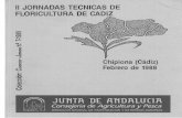 Jornadas Técnicas... · FLORICULTURA Consejería de Agricultura y Pesca DIRECCION GENERAL DE INVESTIGACION Y EXTENSION AGRARIAS. Chipi011a (Cádiz) Febrero de 1988 . 3,41 so-- 7,41