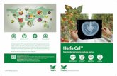 Haifa Cal...Haifa Cal Plus, una gama de fórmulas de nitrato de calcio enriquecidas con micronutrientes El rol del Calcio en la planta El calcio es esencial para construir las paredes