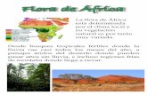 Flora de África - Intendencia de Montevideo.zoo.montevideo.gub.uy/sites/zoo.montevideo.gub.uy/files/... · 2019-02-27 · Flora de África La flora de África esta determinada por