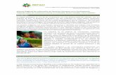 Informe Regional de vulneración de Derechos Humanos en la … · 2019-07-31 · Informe Regional de vulneración de Derechos Humanos en la PanAmazonía. Documento de Síntesis –