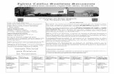 Iglesia Católica Santísimo Sacramentoblessedsacramentcc.org/wp-content/uploads/31-Domingo-del-Tiempo-Ordinario-1.pdfrificación de sus pecados para alcanzar la salvación. La conmemoración