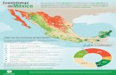 México marinos relieve ubicación riqueza biológica ...México cuenta con una gran diversidad de ecosistemas que van desde lo más alto de las montañas hasta los mares profundos.Esta