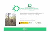 La gestión forestal como herramienta para la adaptación al ... · Papel de la Adaptación en el “puzzle” del Cambio Climático. ... Plantaciones intensivas turno corto X Aumentar