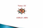 Tema 22 · Rubeola Rotavirus Otros virus: Arbovirus SARS Norovirus Chikungunya y Toscana Virus ARN simetria helicoidal con envoltura