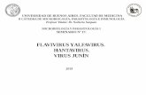 FLAVIVIRUS Y ALFAVIRUS. HANTAVIRUS. VIRUS JUNÍN 17_0.pdf · •A partir del 15 de Mayo del 2015, se confirmaron casos de Fiebre por virus Zika en el norte de Brasil. Desde Octubre