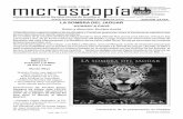 microscopía - APLPmicroscopía Biblioteca Freudiana3 los Jaguares. Tenían que hacerse señas para tumbar el puente, cuando pasaran los Jaguares y tumbarlos al río. Jus-to se escapó