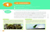 1 La nutrición - SM Argentinasm-argentina.com/wp-content/uploads/2018/unidadesmodelo/Bic7Fed_Nodos_UM.pdf• La entrada y el transporte del oxígeno, y su utilización en las células