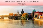CZECH UNIVERSITY OF LIFE SCIENCES PRAGUE. Agronomos/Presentación Praga.pdf · PRAGA •Todo tipo de actividades posibles durante los 7 días de la semana, visitas culturales, restaurantes,