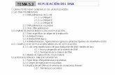 TEMA 5.3 REPLICACIÓN DEL DNAumh1163.edu.umh.es/wp-content/uploads/sites/838/2018/02/Tema-5.3.-Replicación.pdfTEMA 5.3 . REPLICACIÓN DEL DNA . 1. CARACTERÍSTICAS GENERALES DE LA