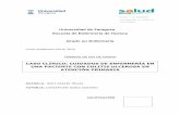 Grado en Enfermería - unizar.es · Association)(24) 2012-2014, la Clasificación de Resultados NOC (Nursing Outcomes Classification) (25) y la Clasificación de Intervenciones NIC