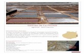 Salinas de La Florida - Gobierno de Canarias · agrícola de tierra. El entorno de las salinas requerirá a medio plazo las actuaciones apropiadas en materia de eliminación de impactos